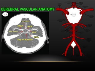 Radiological anatomy of Brain and stroke imaging.ppt