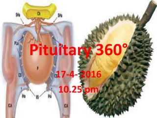 Pituitary 360°
26-5-2017
12.31 pm
 