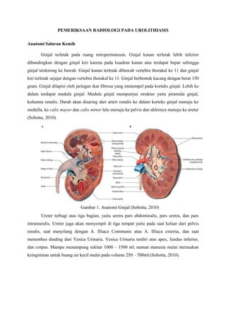 PEMERIKSAAN RADIOLOGI PADA UROLITHIASIS
Anatomi Saluran Kemih
Ginjal terletak pada ruang retroperitoneum. Ginjal kanan terletak lebih inferior
dibandingkan dengan ginjal kiri karena pada kuadran kanan atas terdapat hepar sehingga
ginjal terdorong ke bawah. Ginjal kanan terletak dibawah vertebra thorakal ke 11 dan ginjal
kiri terletak sejajar dengan vertebra thorakal ke 11. Ginjal berbentuk kacang dengan berat 150
gram. Ginjal dilapisi oleh jaringan ikat fibrosa yang menempel pada korteks ginjal. Lebih ke
dalam terdapat medula ginjal. Medula ginjal mempunyai struktur yaitu piramida ginjal,
kolumna renalis. Darah akan disaring dari arteri renalis ke dalam korteks ginjal menuju ke
medulla, ke calix mayor dan calix minor lalu menuju ke pelvis dan akhirnya menuju ke ureter
(Sobotta, 2010).
Gambar 1. Anatomi Ginjal (Sobotta, 2010)
Ureter terbagi atas tiga bagian, yaitu uretra pars abdominalis, pars uretra, dan pars
intramuralis. Ureter juga akan menyempit di tiga tempat yaitu pada saat keluar dari pelvis
renalis, saat menyilang dengan A. Illiaca Communis atau A. Illiaca externa, dan saat
menembus dinding dari Vesica Urinaria. Vesica Urinaria terdiri atas apex, fundus inferior,
dan corpus. Mampu menampung sekitar 1000 – 1500 ml, namun manusia mulai merasakan
keingininan untuk buang air kecil mulai pada volume 250 – 500ml (Sobotta, 2010).
 