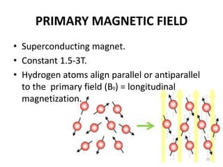 PRIMARY MAGNETIC FIELD
• Superconducting magnet.
• Constant 1.5-3T.
• Hydrogen atoms align parallel or antiparallel
to the primary field (B0) = longitudinal
magnetization.
10
 
