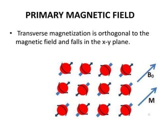 PRIMARY MAGNETIC FIELD
• Transverse magnetization is orthogonal to the
magnetic field and falls in the x-y plane.
11
 