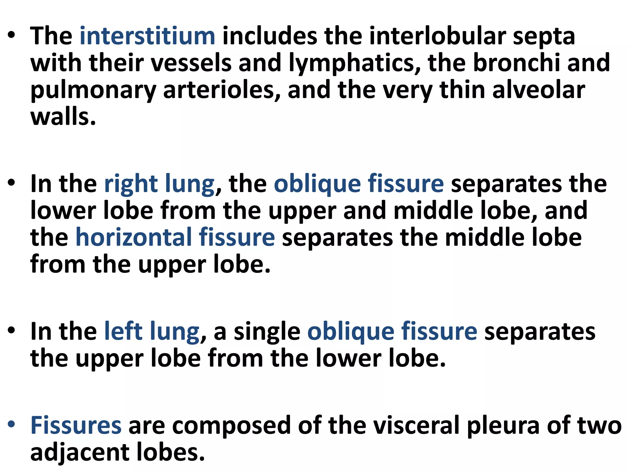 • The interstitium includes the interlobular septa
with their vessels and lymphatics, the bronchi and
pulmonary arterioles, and the very thin alveolar
walls.
• In the right lung, the oblique fissure separates the
lower lobe from the upper and middle lobe, and
the horizontal fissure separates the middle lobe
from the upper lobe.
• In the left lung, a single oblique fissure separates
the upper lobe from the lower lobe.
• Fissures are composed of the visceral pleura of two
adjacent lobes.
 