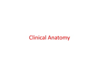 Clinical Anatomy
 
