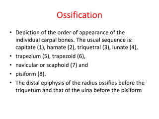 Ossification
• Depiction of the order of appearance of the
individual carpal bones. The usual sequence is:
capitate (1), hamate (2), triquetral (3), lunate (4),
• trapezium (5), trapezoid (6),
• navicular or scaphoid (7) and
• pisiform (8).
• The distal epiphysis of the radius ossifies before the
triquetum and that of the ulna before the pisiform
 