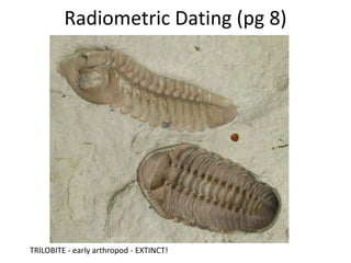 Radiometric Dating (pg 8)




TRILOBITE - early arthropod - EXTINCT!
 