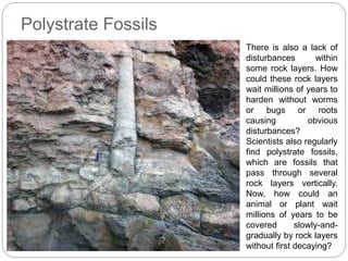 Polystrate Fossils
There is also a lack of
disturbances within
some rock layers. How
could these rock layers
wait millions of years to
harden without worms
or bugs or roots
causing obvious
disturbances?
Scientists also regularly
find polystrate fossils,
which are fossils that
pass through several
rock layers vertically.
Now, how could an
animal or plant wait
millions of years to be
covered slowly-and-
gradually by rock layers
without first decaying?
 