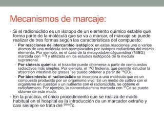 Mecanismos de marcaje:
• Si el radionúclido es un isotopo de un elemento químico estable que
forma parte de la molécula que se va a marcar, el marcaje se puede
realizar de tres formas según las características del compuesto:
• Por reacciones de intercambio isotópico: en estas reacciones uno o varios
átomos de una molécula son reemplazados por isotopos radiactivos del mismo
elemento. Por ejemplo, es el caso de la metayodobencilguanidina (MIBG)
marcada con 123I y utilizada en los estudios isotópicos de la medula
suprarrenal.
• Por síntesis química: el trazador puede obtenerse a partir de compuestos
radiactivos más simples. Por ejemplo, el 14C trioleina, que permite estudiar la
absorción intestinal de grasas, se puede obtener a partir de 14CO2.
• Por biosíntesis: el radionúclido se incorpora a una molécula que es un
compuesto producido por un organismo vivo. En un medio de cultivo con el
organismo en cuestión y un nutriente con el radionúclido, se obtiene el
radiofármaco. Por ejemplo, la cianocobalamina marcada con 57Co se puede
obtener de este modo.
• En la práctica, el único procedimiento que se realiza de modo
habitual en el hospital es la introducción de un marcador extraño y
casi siempre se trata del 99mTc.
 