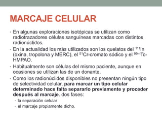 MARCAJE CELULAR
• En algunas exploraciones isotópicas se utilizan como
radiotrazadores células sanguíneas marcadas con distintos
radionúclidos.
• En la actualidad los más utilizados son los quelatos del 111In
(oxina, tropolona y MERC), el 51Cr-cromato sódico y el 99mTc-
HMPAO.
• Habitualmente son células del mismo paciente, aunque en
ocasiones se utilizan las de un donante.
• Como los radionúclidos disponibles no presentan ningún tipo
de selectividad celular, para marcar un tipo celular
determinado hace falta separarlo previamente y proceder
después al marcaje. dos fases:
• la separación celular
• el marcaje propiamente dicho.
 