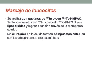 Marcaje de leucocitos
• Se realiza con quelatos de 111In o con 99mTc-HMPAO.
Tanto los quelatos del 111In, como el 99mTc-HMPAO son
liposolubles y logran difundir a través de la membrana
celular.
• En el interior de la célula forman compuestos estables
con las glicoproteínas citoplasmáticas
 