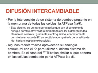 DIFUSIÓN INTERCAMBIABLE
• Por la intervención de un sistema de bombeo presente en
la membrana de todas las células: la ATPasa Na/K.
• Este sistema es un transporte activo que con el consumo de
energía permite atravesar la membrana celular a determinados
elementos contra su gradiente electroquímico, concretamente
permite la entrada de K+ en la célula acompañada de la salida de
Na+ hacia el espacio extracelular.
• Algunos radiofármacos aprovechan su analogía
estructural con el K+ para utilizar el mismo sistema de
bombeo. Es el caso del 201Tl catión similar al que penetra
en las células bombeado por la ATPasa Na /K.
 