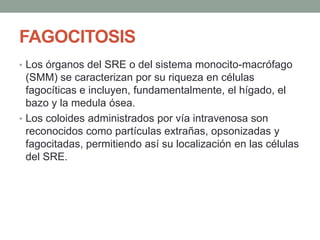 FAGOCITOSIS
• Los órganos del SRE o del sistema monocito-macrófago
(SMM) se caracterizan por su riqueza en células
fagocíticas e incluyen, fundamentalmente, el hígado, el
bazo y la medula ósea.
• Los coloides administrados por vía intravenosa son
reconocidos como partículas extrañas, opsonizadas y
fagocitadas, permitiendo así su localización en las células
del SRE.
 