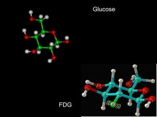 Glucose

FDG

 