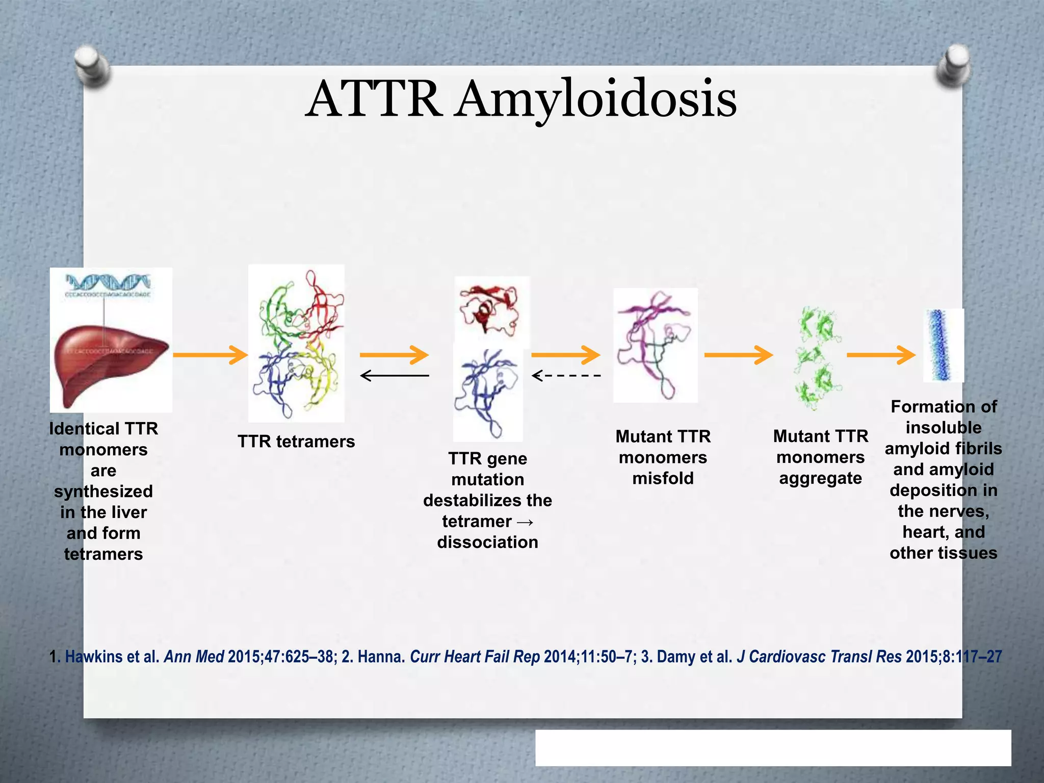 Radionuclide Imaging of Cardiac Amyloidosis and SarcoidosisFELLOWS ...