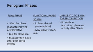 Renogram Phases
FLOW PHASE
• I.Vascular phase
(RADIONUCLETIDE
ANGIOGRAM)
• Last for 30-60 sec.
• Max activity 4-6 sec
after peak aortic
activity
FUNCTIONAL PHASE
30 MIN
• II. Parenchymal
phase(uptake)
• Max activity 3 to 5
min
UPTAKE AT 2 TO 3 MIN
FOR SPLIT FUNCTION
• III. Washout
(excretory) phase no
activity after 30 min
 