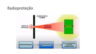Radioproteção bases para proteção radiologica | PPTX