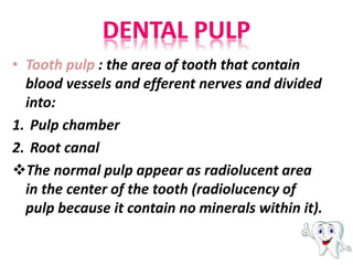 • Tooth pulp : the area of tooth that contain
blood vessels and efferent nerves and divided
into:
1. Pulp chamber
2. Root canal
The normal pulp appear as radiolucent area
in the center of the tooth (radiolucency of
pulp because it contain no minerals within it).
 