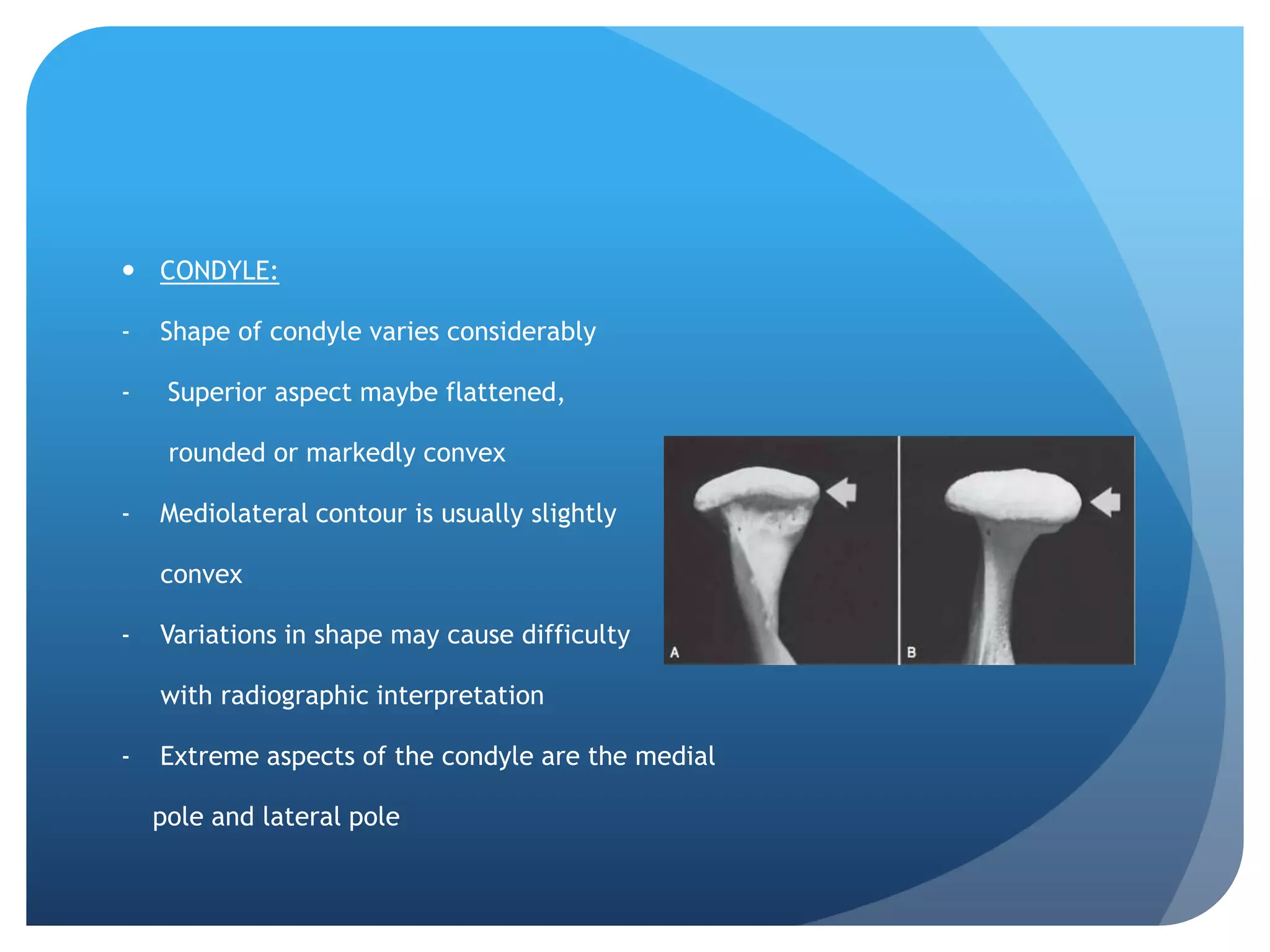  CONDYLE:

-   Shape of condyle varies considerably

-    Superior aspect maybe flattened,

     rounded or markedly convex

-   Mediolateral contour is usually slightly

    convex

-   Variations in shape may cause difficulty

    with radiographic interpretation

-   Extreme aspects of the condyle are the medial

    pole and lateral pole
 