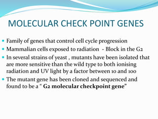 Radiosensitivity and cell age in the mitotic cycle | PPTX