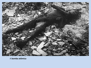 Os Efeitos das RadiatividadesEfeitos do calor e da radiação