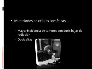 Efectos adversos de la RadiaciónAlgunas acciones biológicas de la radiación localizada pueden disminuir la probabilidad de control tumoralRespuesta inmuneAltas dosisTrasplante de medula ósea