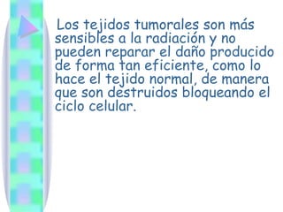 Los tejidos tumorales son más sensibles a la radiación y no pueden reparar el daño producido de forma tan eficiente, como lo hace el tejido normal, de manera que son destruidos bloqueando el ciclo celular.  