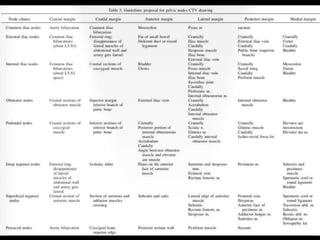 Radiotherapy for bladder cancer part ii | PPTX