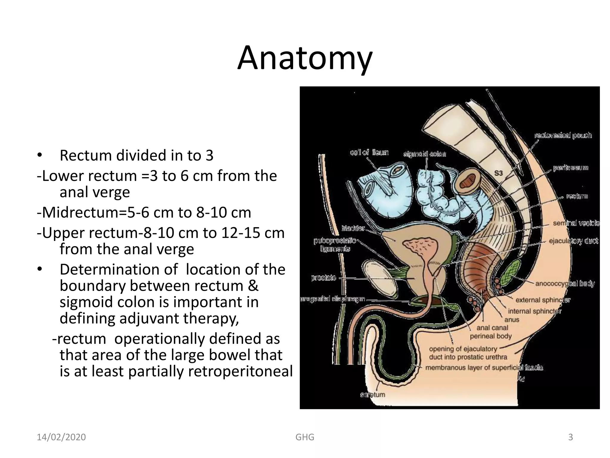 Radiotherapy Planning For Rectal Cancer 2d Updates Pptx