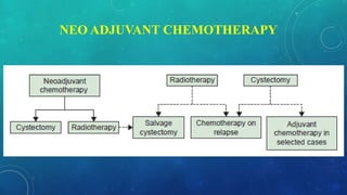 NEO ADJUVANT CHEMOTHERAPY
 