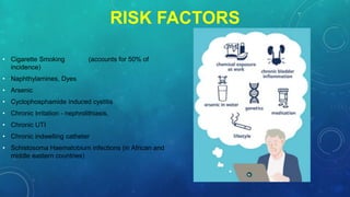 RISK FACTORS
• Cigarette Smoking (accounts for 50% of
incidence)
• Naphthylamines, Dyes
• Arsenic
• Cyclophosphamide induced cystitis
• Chronic Irritation - nephrolithiasis,
• Chronic UTI
• Chronic indwelling catheter
• Schistosoma Haematobium infections (in African and
middle eastern countries)
 