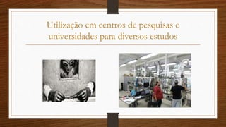 Utilização em centros de pesquisas e
universidades para diversos estudos
 