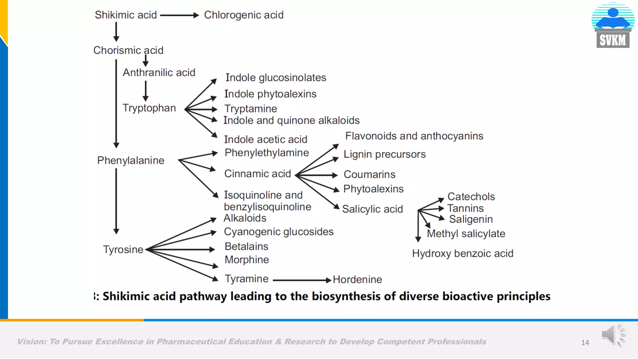 Vision: To Pursue Excellence in Pharmaceutical Education & Research to Develop Competent Professionals 14
 