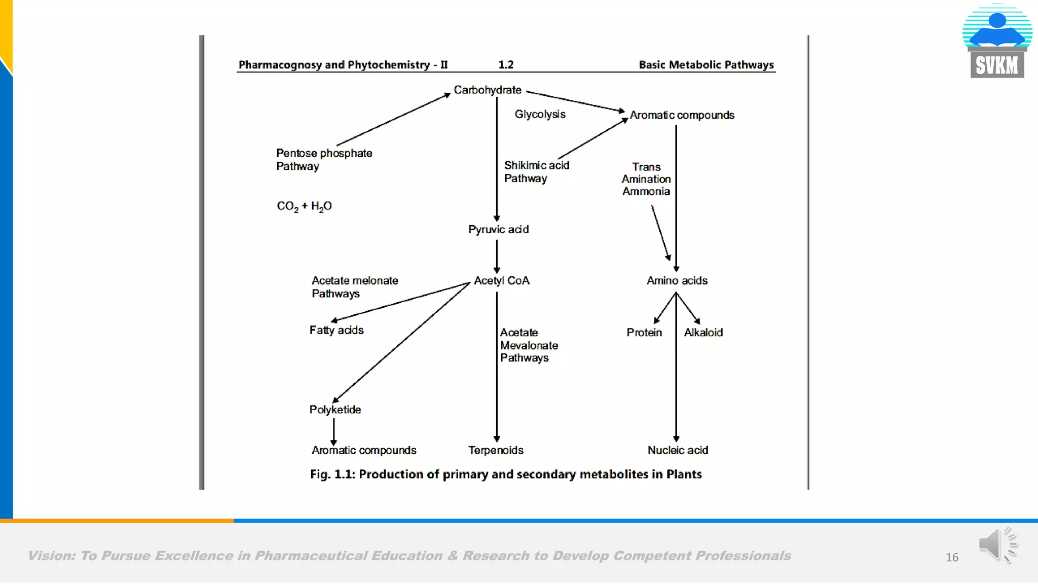 Vision: To Pursue Excellence in Pharmaceutical Education & Research to Develop Competent Professionals 16
 