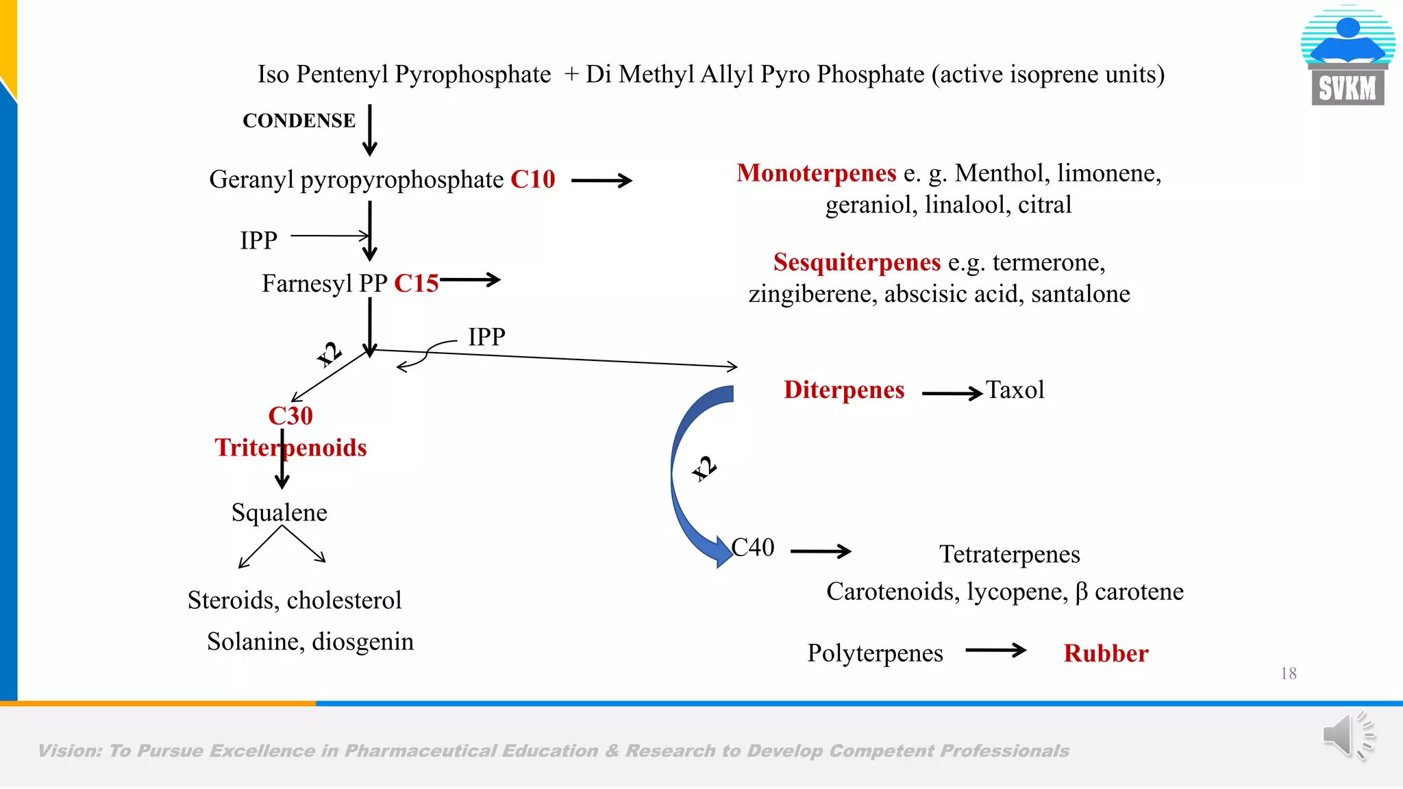 Vision: To Pursue Excellence in Pharmaceutical Education & Research to Develop Competent Professionals
18
Iso Pentenyl Pyrophosphate + Di Methyl Allyl Pyro Phosphate (active isoprene units)
CONDENSE
Geranyl pyropyrophosphate C10 Monoterpenes e. g. Menthol, limonene,
geraniol, linalool, citral
Farnesyl PP C15
Sesquiterpenes e.g. termerone,
zingiberene, abscisic acid, santalone
IPP
C30
Triterpenoids
Squalene
Steroids, cholesterol
Solanine, diosgenin
IPP
Diterpenes Taxol
Polyterpenes Rubber
C40 Tetraterpenes
Carotenoids, lycopene, β carotene
 