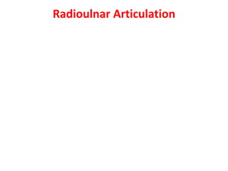 Radioulnar Articulation
 