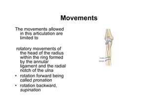 RADIOULNAR JOINTS.pdf.................... | PPT