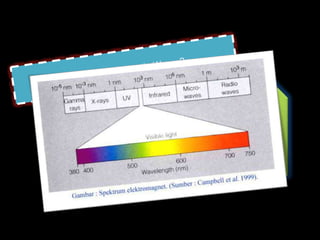 Because the length of the waves ranged
   between 1 – 1000 meters and the
frequency ranged between 104 until 107
                hertz.
 