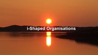 i-Shaped Organisations
 
