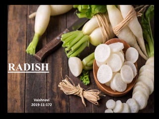 RADISH
Vaishnavi
2019-11-172
 
