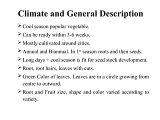 Climate and General Description
Cool season popular vegetable.
Can be ready within 3-6 weeks.
Mostly cultivated around cities.
Annual and Biannual. In 1st
season roots and then seeds.
Long days + cool season is fit for seed stock development.
Root, root hairs, leaves with cuts.
Green Color of leaves. Leaves are in a circle growing from
centre to outward.
Root and Fruit size, shape and color varied according to
variety.
 