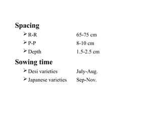 Spacing
R-R 65-75 cm
P-P 8-10 cm
Depth 1.5-2.5 cm
Sowing time
Desi varieties July-Aug.
Japanese varieties Sep-Nov.
 