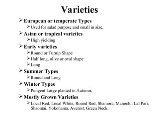 Varieties
European or temperate Types
Used for salad purpose and small in size.
Asian or tropical varieties
High yielding
Early varieties
Round or Turnip Shape
Half long, olive or oval shape
Long
Summer Types
Round and Long
Winter Types
Pungent Large planted in Autumn.
Mostly Grown Varieties
Local Red, Local White, Round Red, Shamora, Manochi, Lal Pari,
Shaomai, Yokohama, Averest, Green Neck.
 