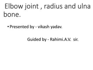 Elbow joint , radius and ulna
bone.
•Presented by - vikash yadav.
Guided by - Rahimi.A.V. sir.
 