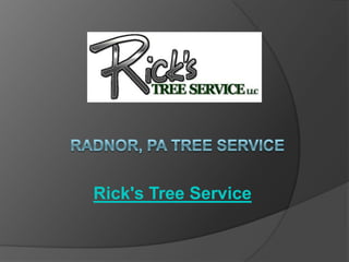 Rick's Tree Service
 