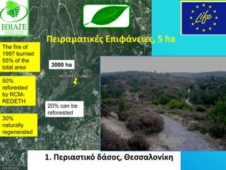 Πειραματικζσ Επιφάνειεσ, 5 ha
The fire of
1997 burned
55% of the
total area     3000 ha

50%
reforested
by RCM-
REDETH
              20% can be
              reforested
30%
naturally
regenerated



              1. Περιαςτικό δάςοσ, Θεςςαλονίκθ
 