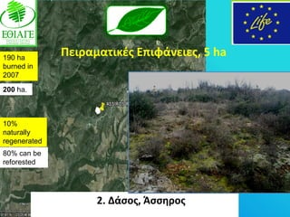190 ha
              Πειραματικζσ Επιφάνειεσ, 5 ha
burned in
2007

200 ha.



10%
naturally
regenerated
80% can be
reforested




                    2. Δάςοσ, Άςςθροσ
 