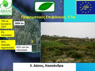 Πειραματικζσ Επιφάνειεσ, 5 ha
190 ha
burned in     3000 ha
2007

5%
reforested

50%
naturally
regenerated    45% can be
               reforested




                            3. Δάςοσ, Καςςάνδρα
 