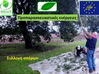 Προπαραςκευαςτικζσ ενζργειεσ




΢υλλογι ςπόρων
 