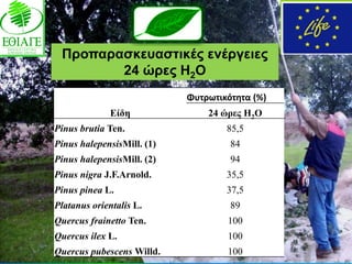 Πξνπαξαζθεπαζηηθέο ελέξγεηεο
        24 ώξεο H2O
                            Φυτρωτικότθτα (%)
              Είδη              24 ώρες H2O
Pinus brutia Ten.                   85,5
Pinus halepensisMill. (1)            84
Pinus halepensisMill. (2)            94
Pinus nigra J.F.Arnold.             35,5
Pinus pinea L.                      37,5
Platanus orientalis L.               89
Quercus frainetto Ten.              100
Quercus ilex L.                     100
Quercus pubescens Willd.            100
 