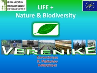 LIFE +
Nature & Biodiversity
 