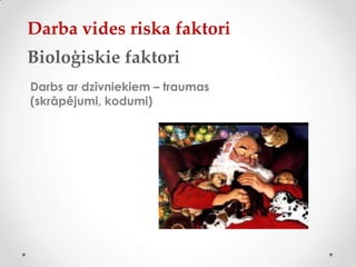 Darba vides riska faktori
Bioloģiskie faktori
Darbs ar dzīvniekiem – traumas
(skrāpējumi, kodumi)
 